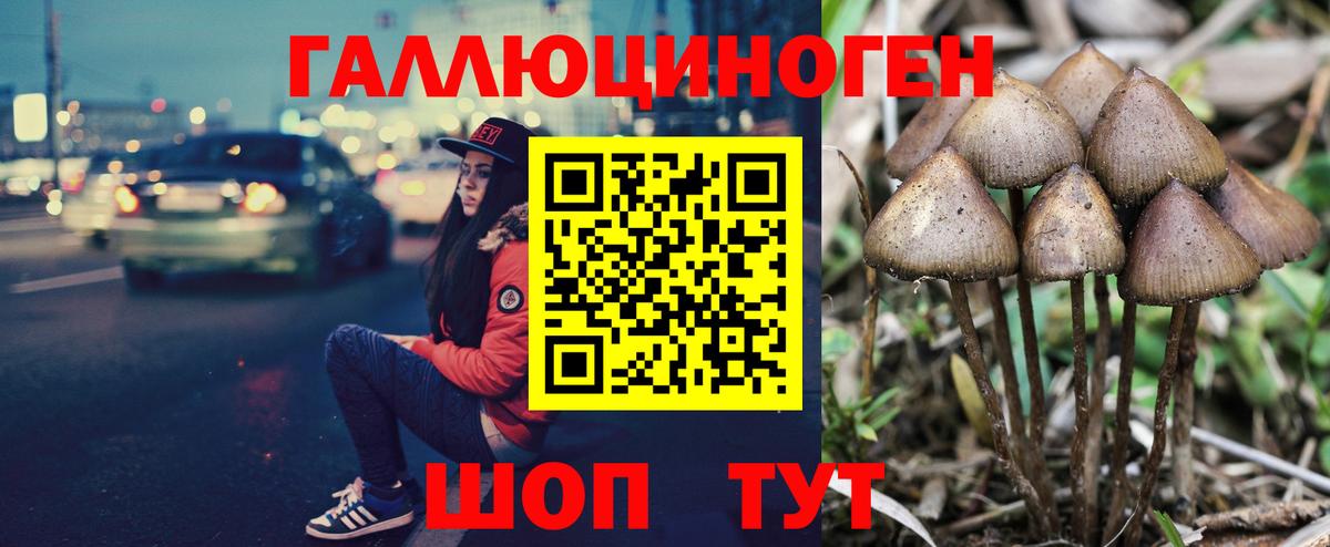 Белореченск  Галлюциногенные грибы мицелий  Вход с VPN  Галлюциногенные грибы прущие грибы 